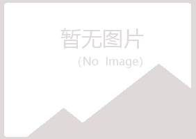 集安晓夏服务有限公司